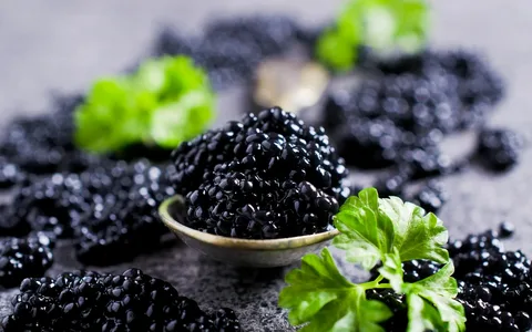 تصویر 3 از خاویار بندر ترکمن اصیل دریایی مجلسی درخشان